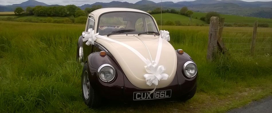 Bug in the Grass - Our very own ‘Love Bug’, equally at home in the town and the country